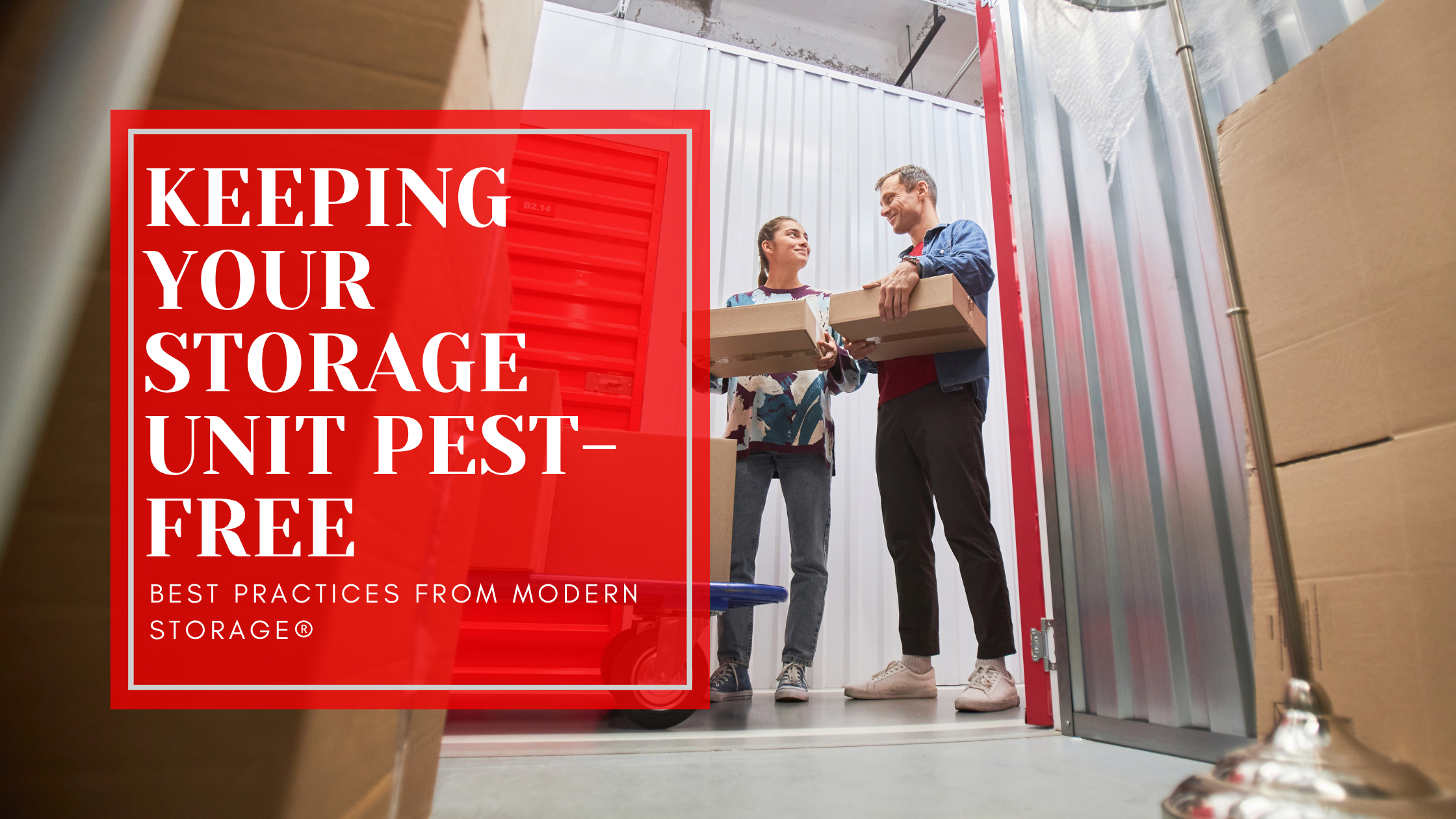 Modern Storage blog header for keeping your storage unit pest-free