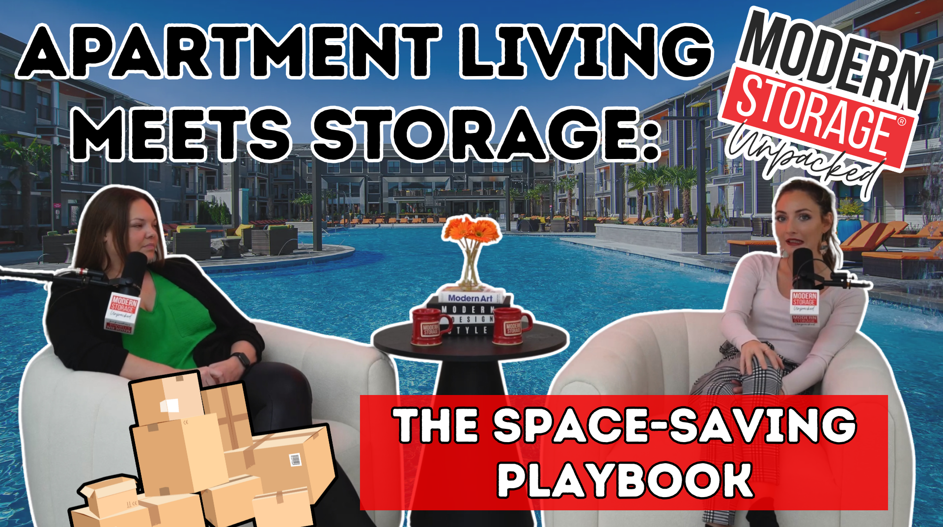 Storage solutions for renters podcast thumbnail